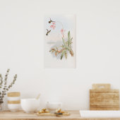 Mellisuga Minima Hummingbirds by John Gould Poster (Küche)