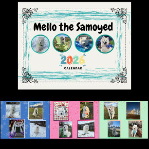 Mello der Samojede 2026 Kalender