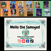 Mello der Samojede 2026 Kalender