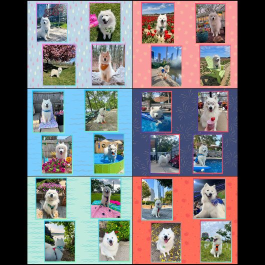 Mello the Samoyed 2026 Calendar Kalender