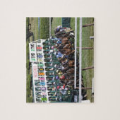 Mellon-Rasen Puzzle (Vertikal)