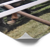 Mellon Turf - Rennkurs in Saratoga Poster (Ecke)