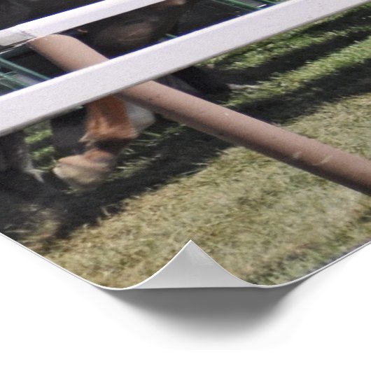 Mellon Turf - Rennkurs in Saratoga Poster (Ecke)