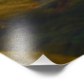 Mellow Mushroom Foto Erweiterung (Ecke)