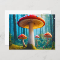 Mellow Mushroom Postcard