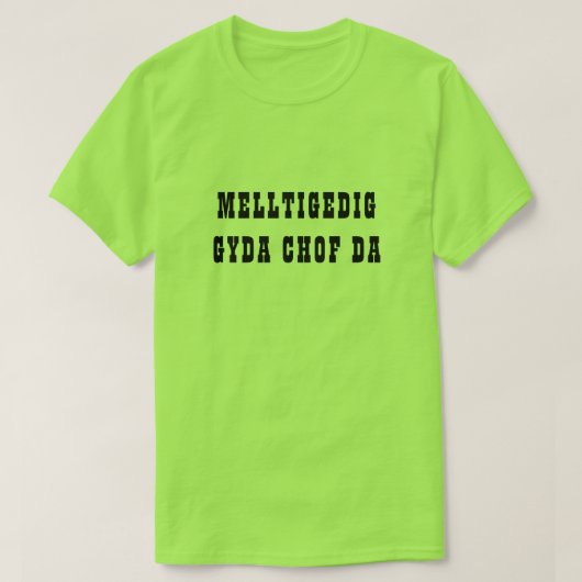 Melltigedig gyda chof da | Verflucht mit gutem Spe T-Shirt (Design vorne)
