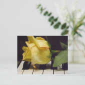 Melodie einer Rose-Postkarte Postkarte (Stehend Vorderseite)