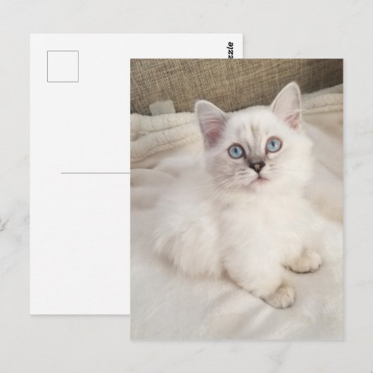 Melodie Postkarte (Vorne/Hinten)