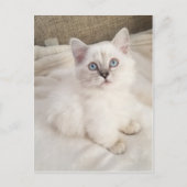 Melodie Postkarte (Vorderseite)