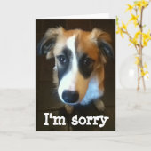 Melody, es tut mir leid karte (Gelbe Blume)