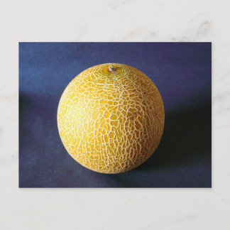 Melon / Cantaloupe Postkarte