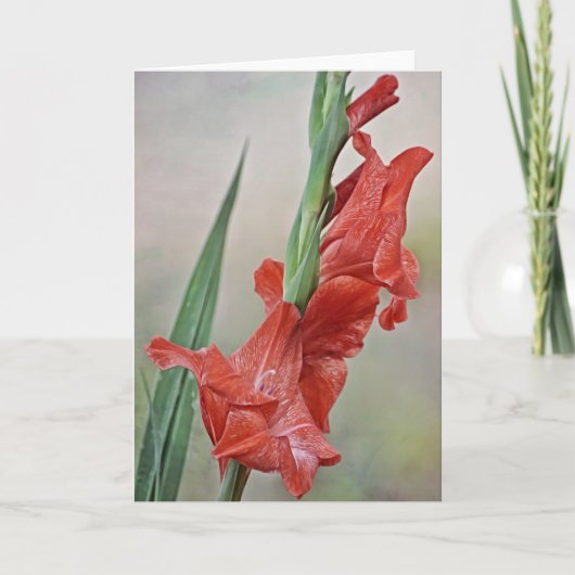 Melon Red Toned Gladiolus Blume Note Card Karte (Vorderseite)