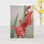 Melon Red Toned Gladiolus Blume Note Card Karte (Gelbe Blume)
