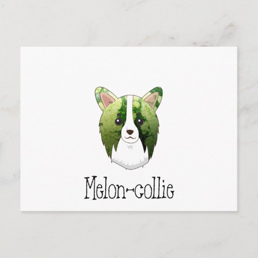 Melone Collie Postkarte (Vorderseite)