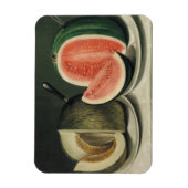 "Melonen" Kunstmagnet Magnet (Vertikal)
