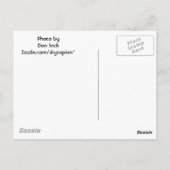 Melonen Postkarte (Rückseite)
