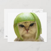 Melonenkatze Postkarte (Vorne/Hinten)