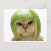 Melonenkatze Postkarte (Vorderseite)