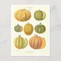 Melons Botanische Illustration aus Saatkatalog