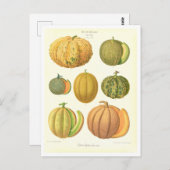 Melons Botanische Illustration aus Saatkatalog Postkarte (Vorne/Hinten)
