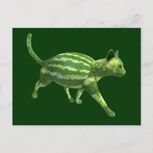 Melons Cat National Watermelon Day Postkarte (Vorderseite)