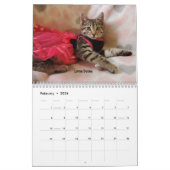 Melt your Heart - MEOW 2022 Kätzchen Kalender (Feb 2026)