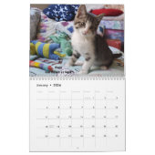 Melt your Heart - MEOW 2022 Kätzchen Kalender (Jan 2026)