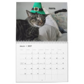 Melt your Heart - MEOW 2022 Kätzchen Kalender (Mär 2027)
