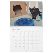 Melt your Herz - MEOW 2020 Kitten Kalender (Mär 2026)