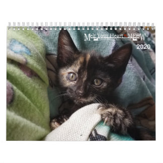 Melt your Herz - MEOW 2020 Kitten Kalender