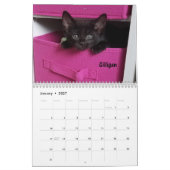 Melt your Herz - MEOW 2020 Kitten Kalender (Jan 2027)