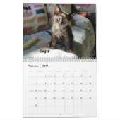 Melt your Herz - MEOW 2020 Kitten Kalender (Feb 2027)