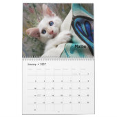 Melt your Herz - MEOW 2021 Kitten Kalender (Jan 2027)