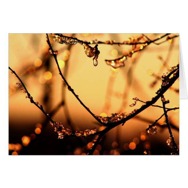 Melting Dawn (Vorderseite (Horizontal))