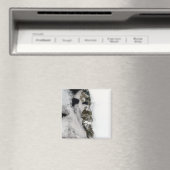 Meltwater-Teiche entlang der grönländischen Westkü Magnet (In Situ (Geschirrspüler))