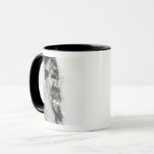 Meltwater-Teiche entlang der grönländischen Westkü Tasse (Vorderseite Links)