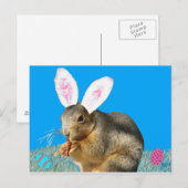 Melvin Cottontail Postkarte (Vorne/Hinten)