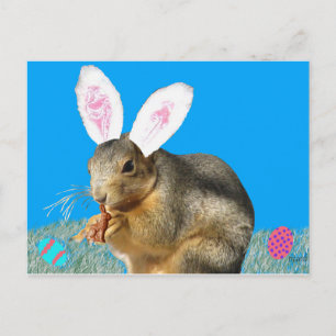 Melvin Cottontail Postkarte