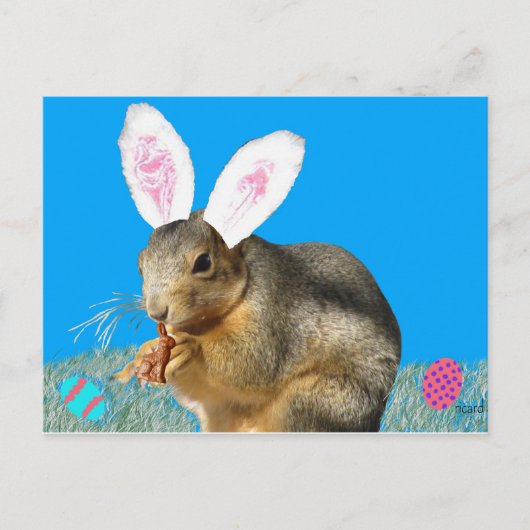 Melvin Cottontail Postkarte (Vorderseite)