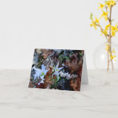 Melzen ... karte (Gelbe Blume)