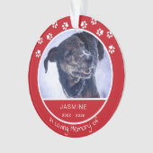 Memberlose Foto Name Rot Ornament (Vorderseite)