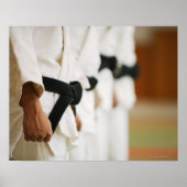 Members of a Judo Dojo Lined Up Poster (Vorne)