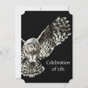 Memberservice Einladung Maskuline Vogelwelt Kunst