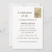 Memberservice Einladung zum Vogelbeobachter (Rückseite)