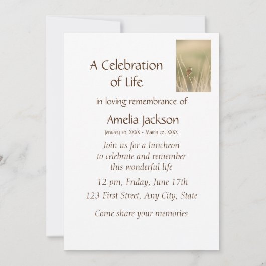 Memberservice Einladung zum Vogelbeobachter (Rückseite)