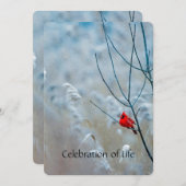 Memberservice laden Kardinal Red Bird ein Einladung (Vorne/Hinten)