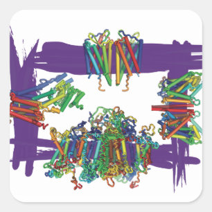 Membran-Proteine durch ein Kasten-Aufkleber Quadratischer Aufkleber