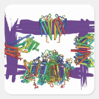 Membran Proteine durch eine Schachtelhalterung Quadratischer Aufkleber