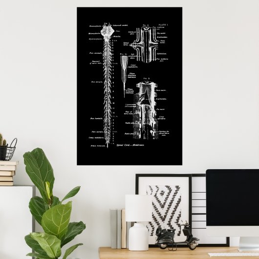 Membrane der Anatomie des Rückenmarks Poster (Heimbüro)
