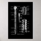 Membrane der Anatomie des Rückenmarks Poster (Vorne)